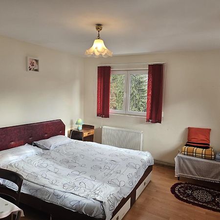 Apartament Retro-Relax Sinaia Eksteriør billede